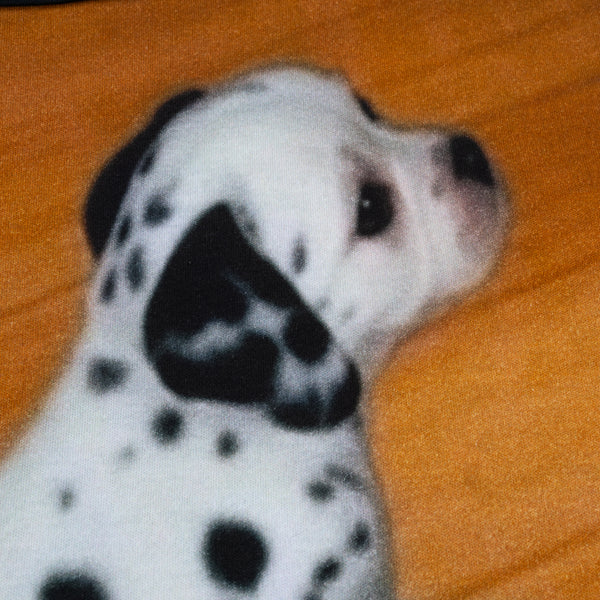 DALMATIAN BABY TEE