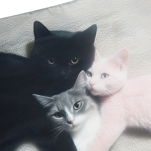 KITTEN TRIO MINI SKIRT